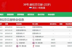 开云APP-利物浦业绩冲击创记录，提前确保英超冠军的简单介绍