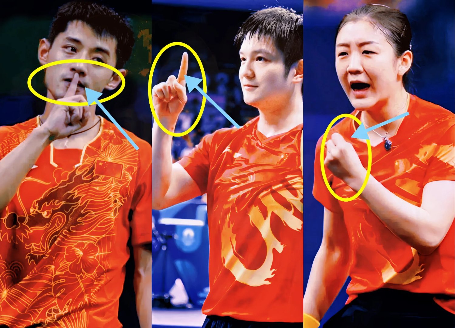 中国乒乓球队轻取波兰乒乓球队,张继科关键制胜的简单介绍 中国乒乓球队轻取波兰乒乓球队,张继科关键制胜的简单介绍